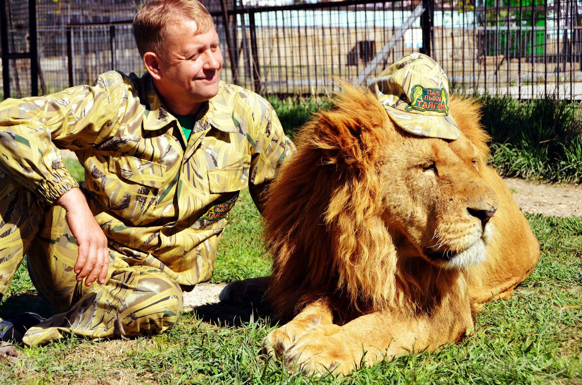 Taigan Lion Safari Park reopens in Crimea