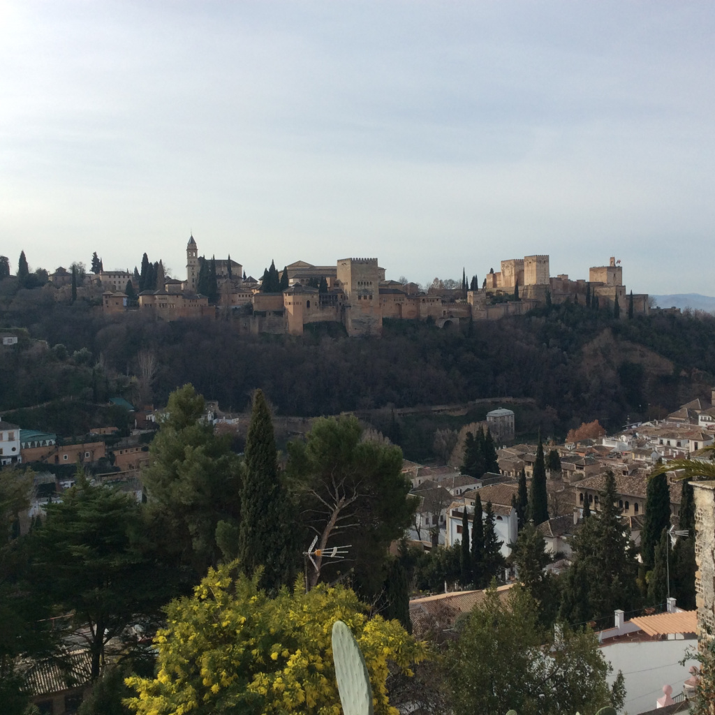 Вид на Альгамбру и город.JPG